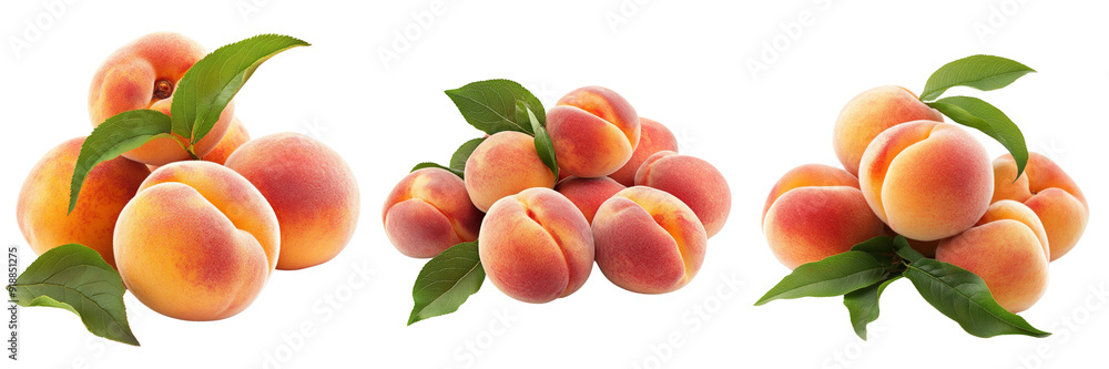 Set of A neat arrangement of ripe peaches with green leaves isolated on transparent background Set of A neat arrangement of ripe peaches with green leaves isolated on transparent background
