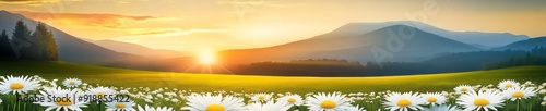 Serene Sunrise Over Whimsical Panorama with White Daisies and Green Grass - High Resolution Digital Art