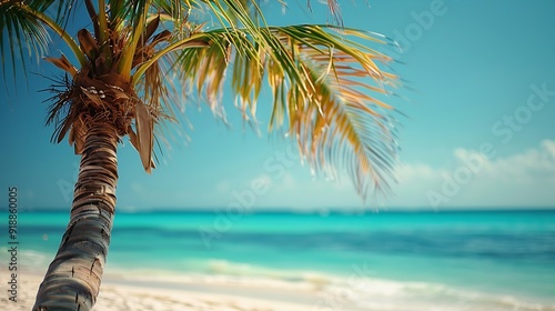 Amazing palmtree in Mexico on one of the beaches of Isla Mujeres The aqua blue water and white beach makes it such a beautiful place : Generative AI photo