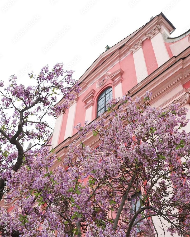 Fototapeta premium a tree with purple flowers in front of a building