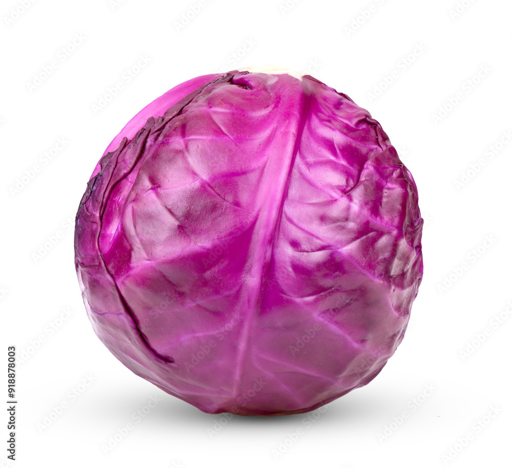 Purple Cabbage vegetable isolated on transparent png Purple Cabbage vegetable isolated on transparent png