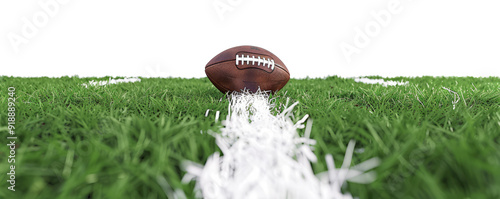 Rugby pitch isolated on transparent background. photo