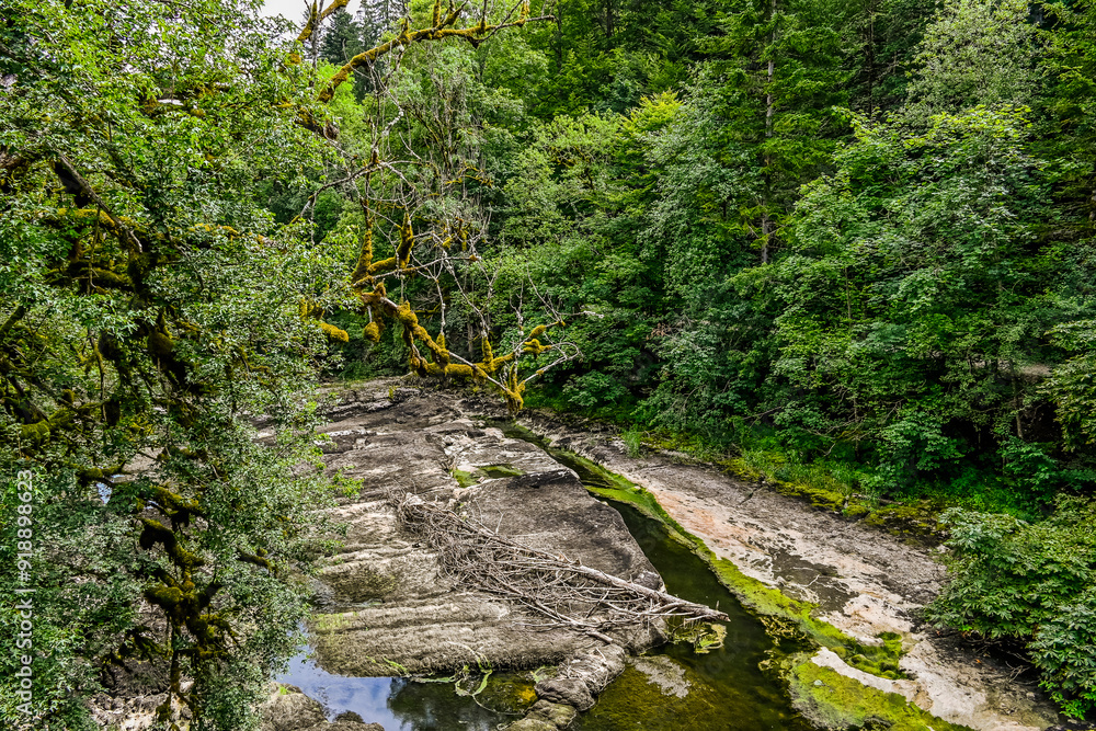 Les Brenets, le lac des Brenets, Felsen, Felswände, Doubs, Fluss, Le Locle, Ausflug, le Saut-du-Doubs, Jura, Juramassiv, Wald, Wanderweg, Sommer, Kanton Neuenburg, Schweiz Les Brenets, le lac des Brenets, Felsen, Felswände, Doubs, Fluss, Le Locle, Ausflug, le Saut-du-Doubs, Jura, Juramassiv, Wald, Wanderweg, Sommer, Kanton Neuenburg, Schweiz