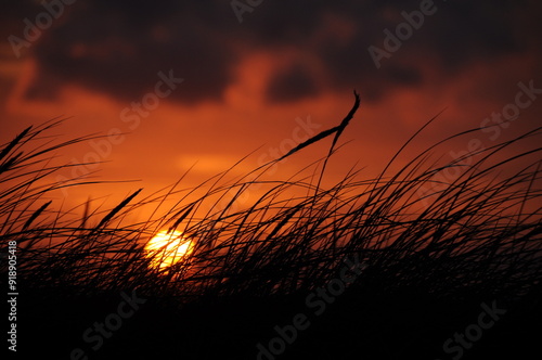 Sonnenuntergang in den Dünen am Meer