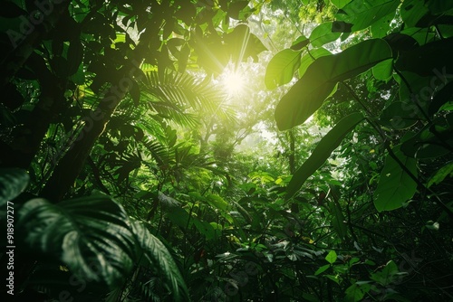 A natural background with a lush green forest and dappled sunlight filtering through the trees photo