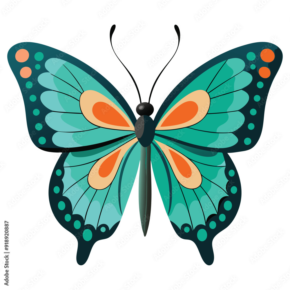 butterfly on white background butterfly on white background