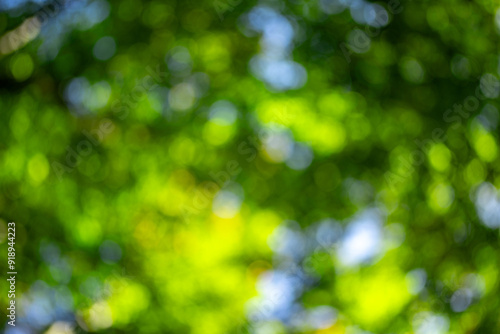 Summer background of green. Blurred abstract summer background. Natural green leaves using as cover page greenery environment ecology background. Green blur for flyers, poster, cover, banner.