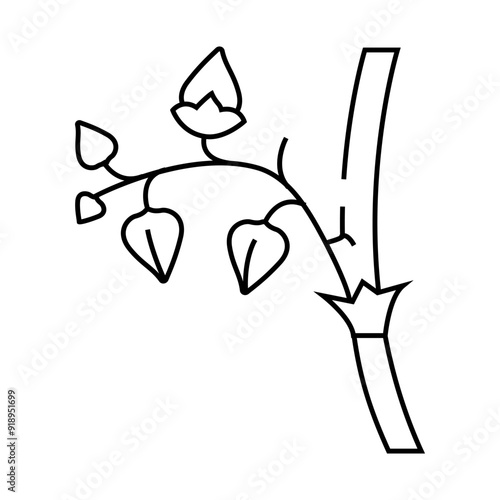 buckwheat plant healthy line icon vector. buckwheat plant healthy sign. isolated contour symbol black illustration