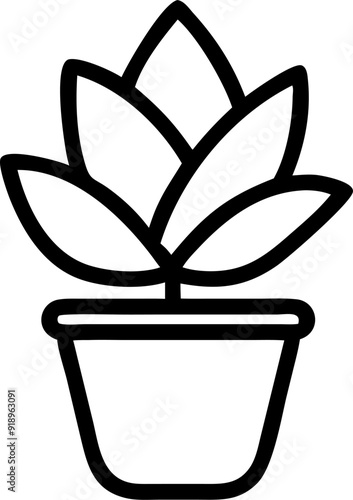echeveria elegans, icon outline