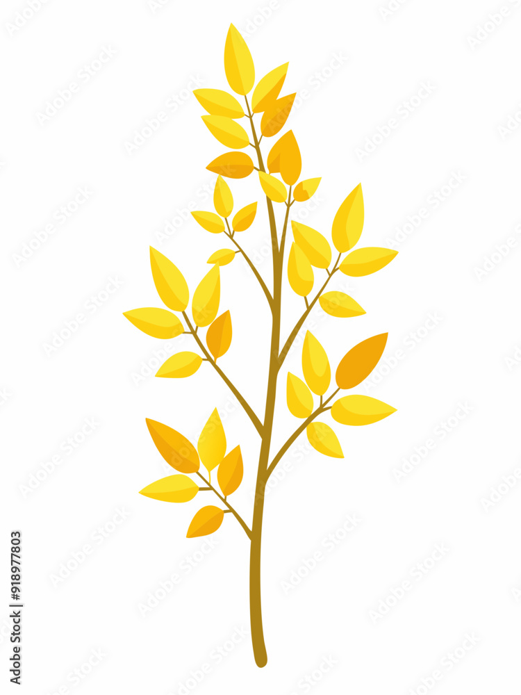 Forsythia plant vector illustration
Forsythia plant vector illustration