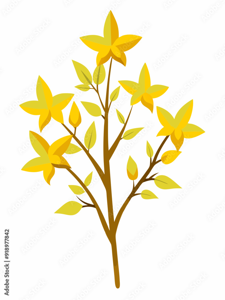 Forsythia plant vector illustration
Forsythia plant vector illustration