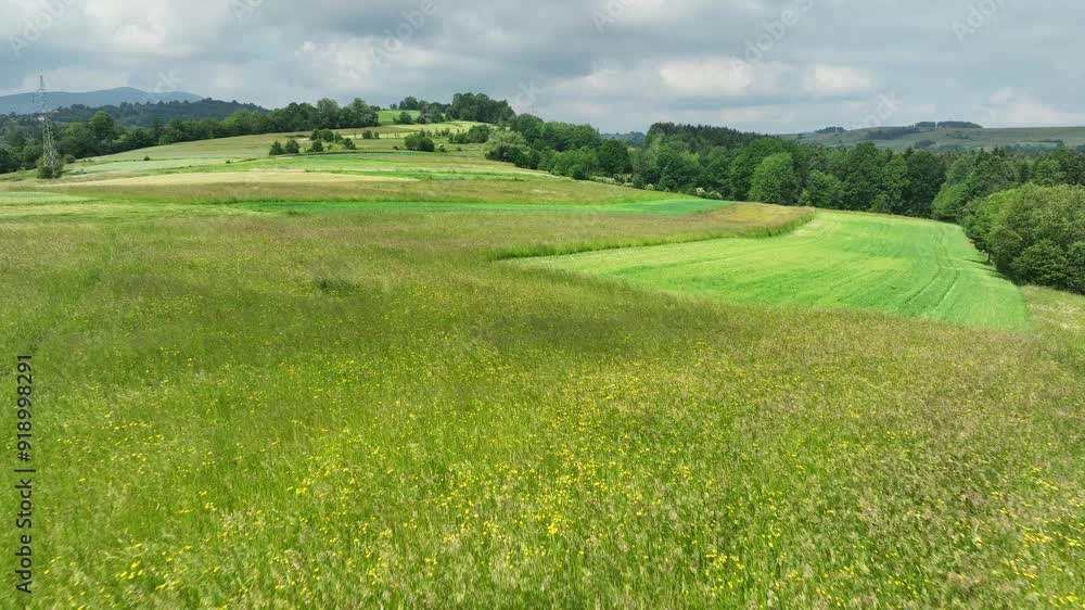 Fields and pastures of rural Poland, Beskid Mountains aerial panorama Fields and pastures of rural Poland, Beskid Mountains aerial panorama