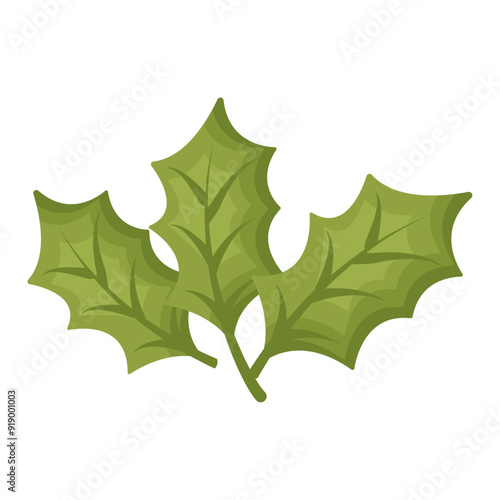 Christmas mistletoe illustration isolated on white background