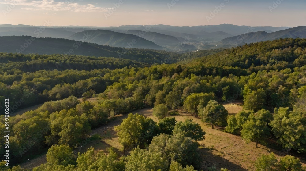Naklejka premium panorama of the mountains in autumn