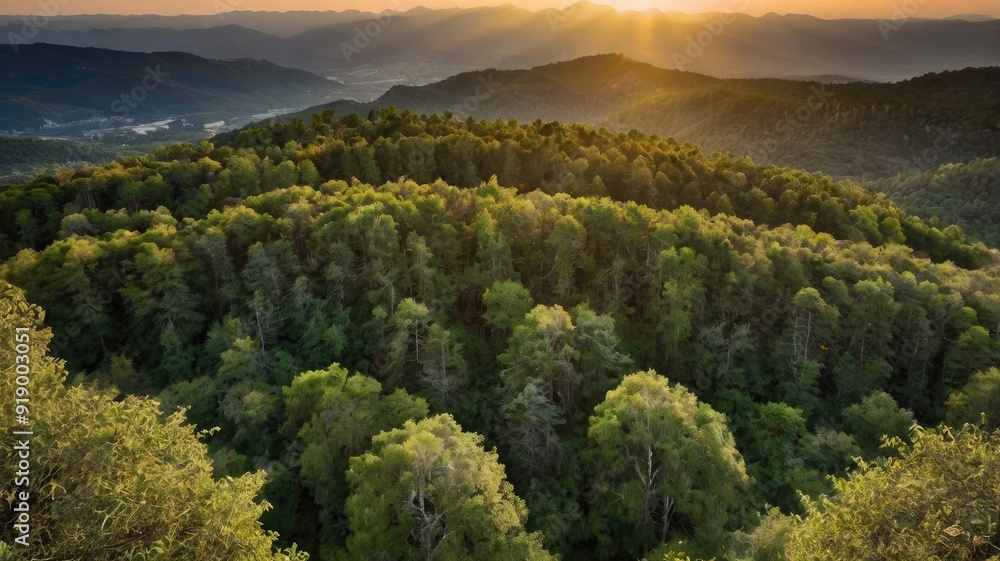 Obraz premium panorama of the mountains in autumn