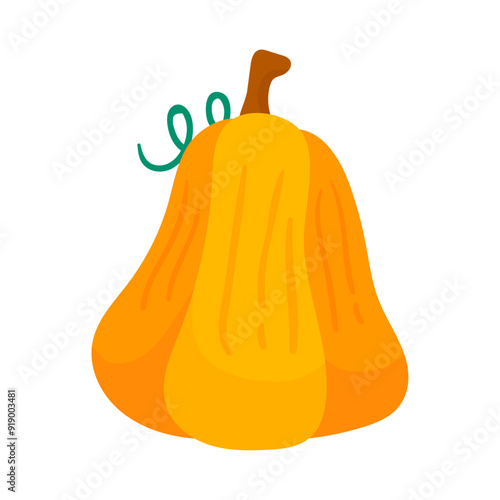 Hand drawn Pumpkin Vegetable Ripe isolated illustration