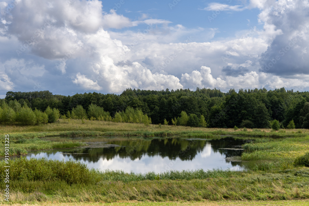 Beautiful summer landscape with lake, trees and clouds in the sky. Tranquil scene. Beautiful summer landscape with lake, trees and clouds in the sky. Tranquil scene.