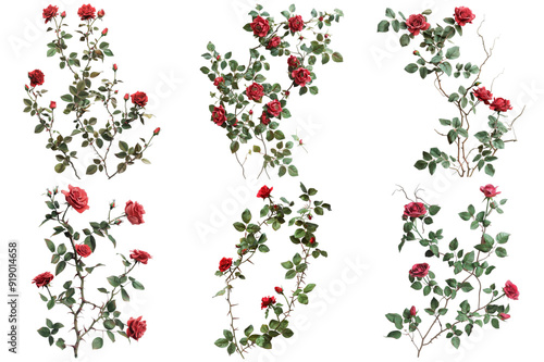 Red Rose Vines with Green Leaves and Abstract Backgrounds