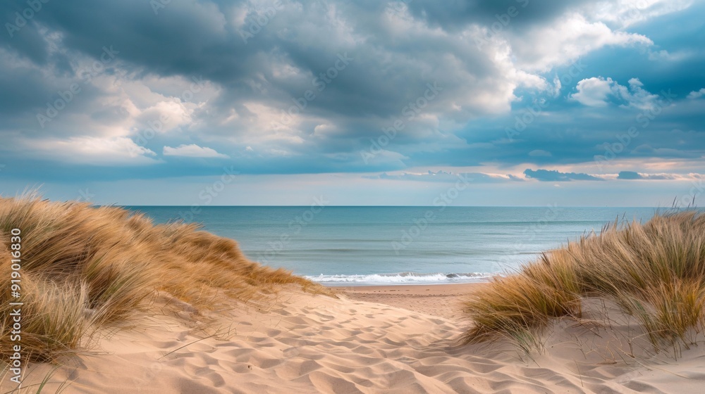 Rolling sand dunes meeting the calm sea under a dramatic sky. Sand dunes on the beach Rolling sand dunes meeting the calm sea under a dramatic sky. Sand dunes on the beach