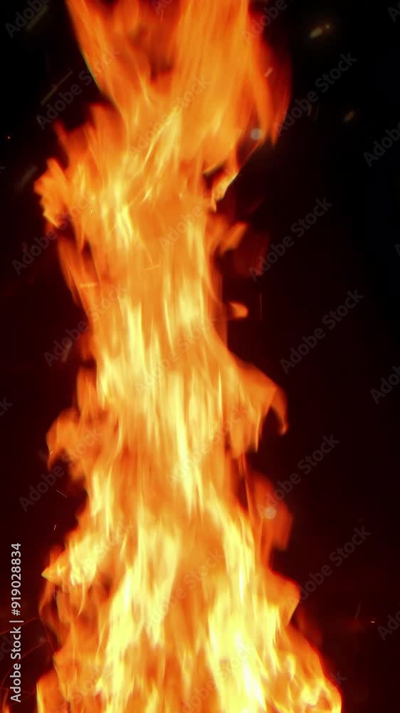 bonfire bonfire