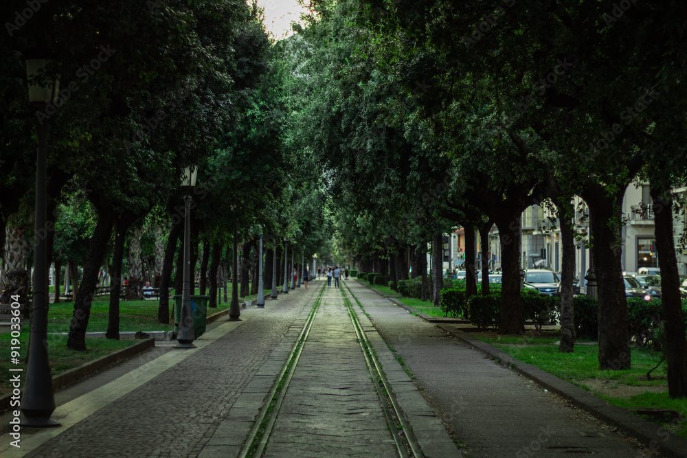 Fototapeta premium Tree city road