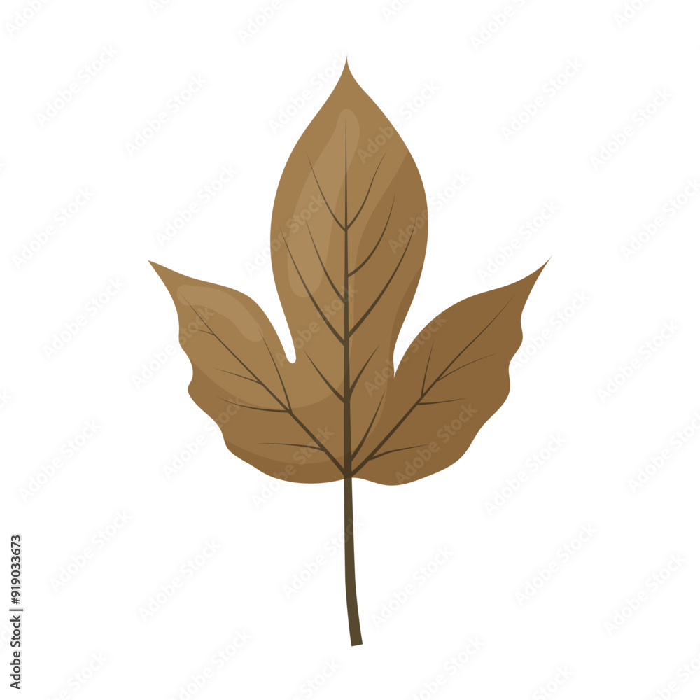 autumn colored bright leaf highlighted on a white background. vector illustration autumn colored bright leaf highlighted on a white background. vector illustration