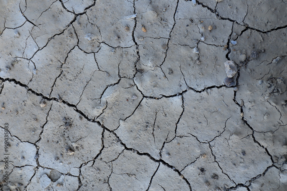 Obraz premium ひび割れをした乾燥した地面