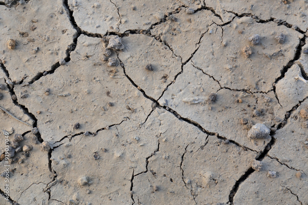 Fototapeta premium ひび割れをした乾燥した地面