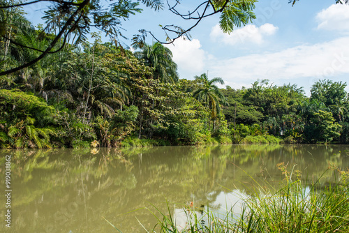 Bilde på lerret la babilla wetland, babilla park in cali colombia located in southern cali