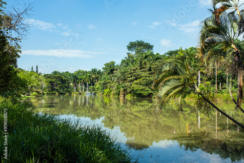 la babilla wetland, babilla park in cali colombia located in southern cali,cop 16 photo