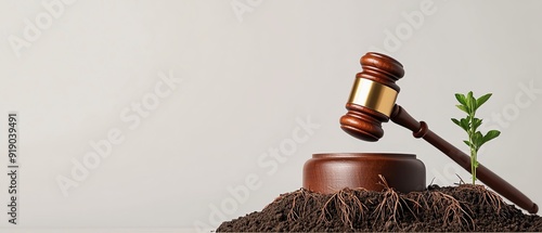 Gavel with roots extending into the ground, symbolizing deeprooted justice photo