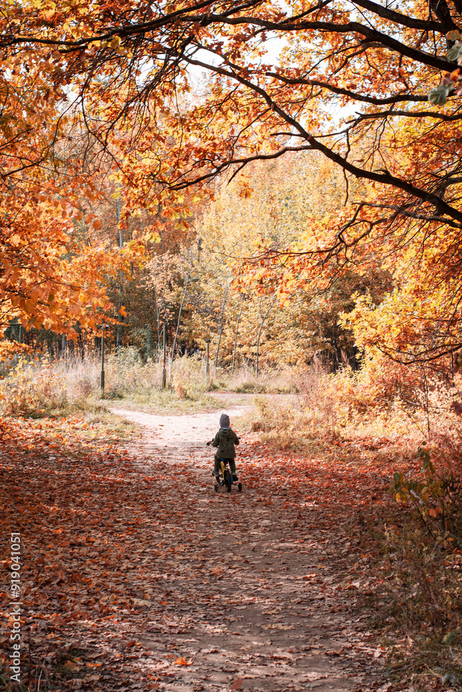 a child in an autumn park a child in an autumn park