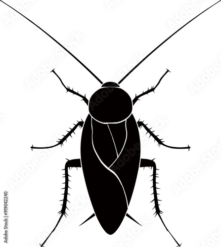 cockroach