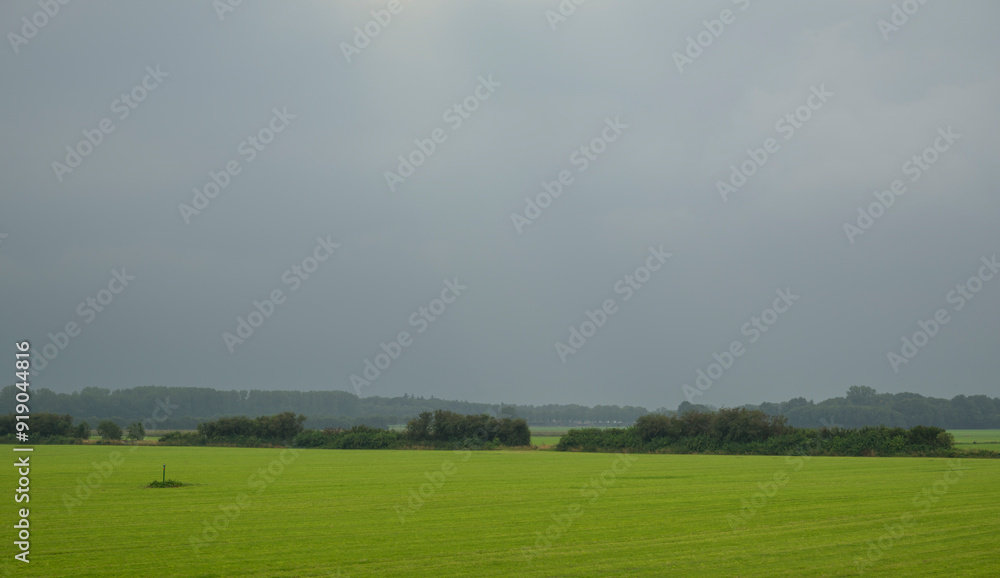 Agricultural field at dusk in Netherlands Agricultural field at dusk in Netherlands