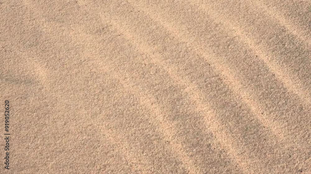 sand texture background sand texture background