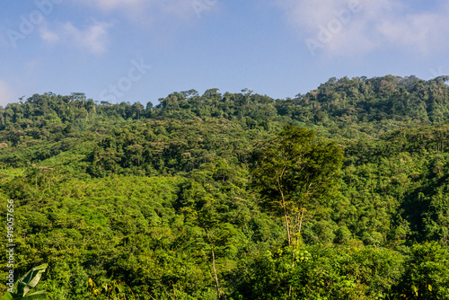 route to La Taña, Reyna area, Quiche, Guatemala, Central America