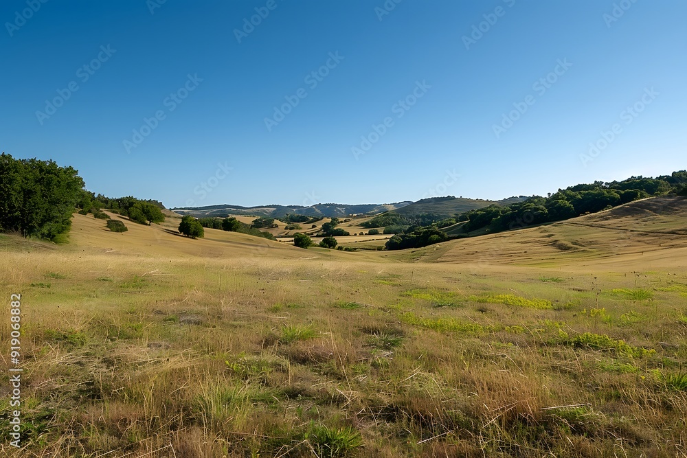 Fototapeta premium Serene Landscape of Rolling Hills Under a Clear Blue Sky
