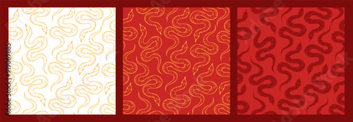 Seamless pattern with chinese snake. Hand drawn illustration for wallpaper, wrapping paper, cloth design.