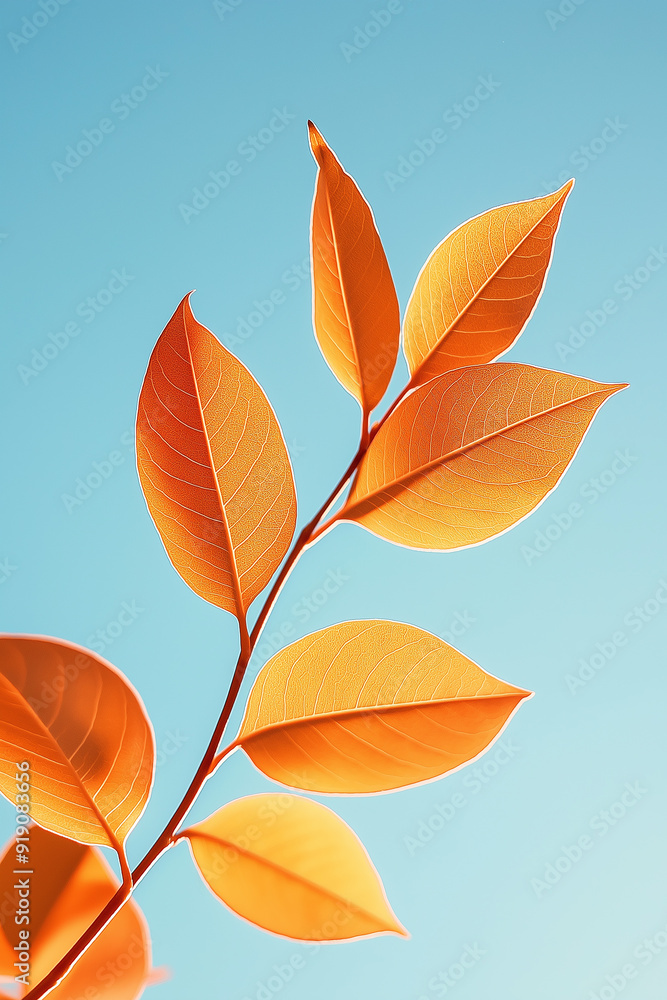 Fototapeta premium Close-up of bright orange leaves against a clear blue sky, capturing the vibrant colors of autumn in a minimalist and clean composition.