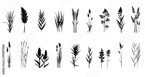 Reed icons set. Wetlands cane black contour silhouettes. Nature ecosystem waterlogged soils plant elements collection. Water grass black and white simple logo. Isolated vector clipart collection