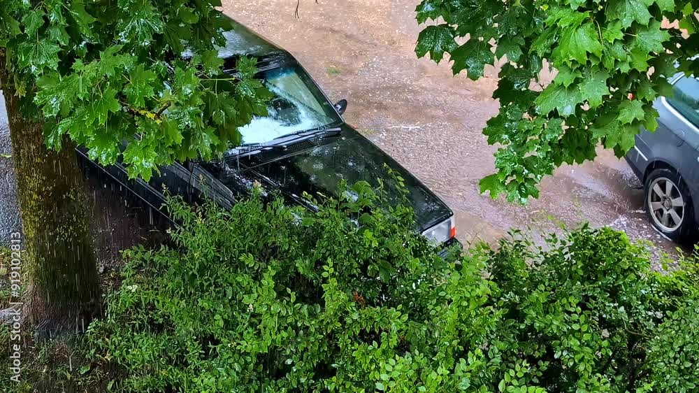 Rain Pouring Down on Parked Cars Beneath a Tree - High Angle Shot Rain Pouring Down on Parked Cars Beneath a Tree - High Angle Shot