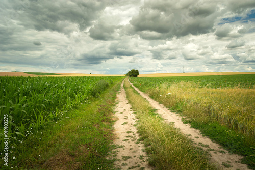 Dirt road through farmland and cloudy sky