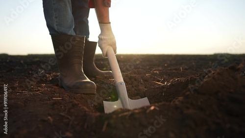 The farmer is digging the field with shovel. garden soil dig concept. a farmer digs the soil with a shovel into the ground with his feet. a lifestyle farmer with his legs shoveling a field.