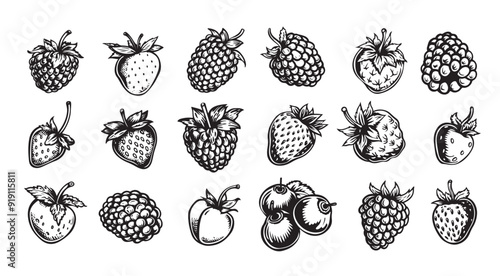 Raspberry vector drawing. Isolated berry branch sketch on white background. Summer fruit engraved style illustration. Detailed hand drawn vegetarian food. Great for label, poster, print