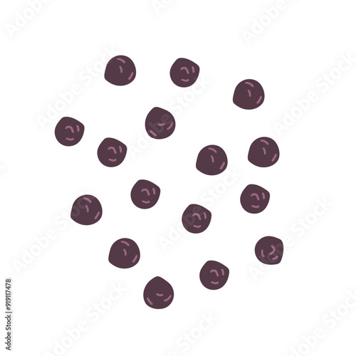 Black pepper top view isolated on white background .Flat doodle vector illustration for food and drink design ,spice hand drawn illustration