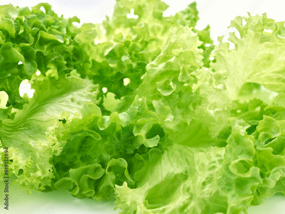 Green leaves of salad isolated on white background Green leaves of salad isolated on white background