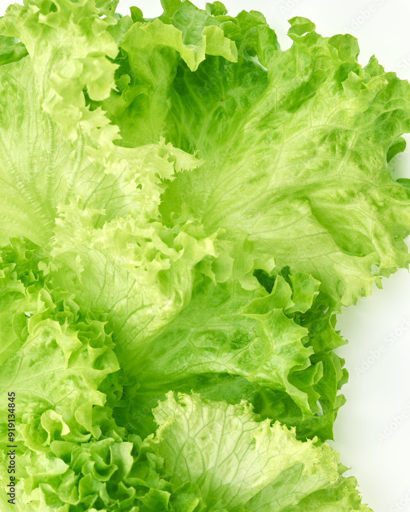 Green leaves of salad isolated on white background Green leaves of salad isolated on white background