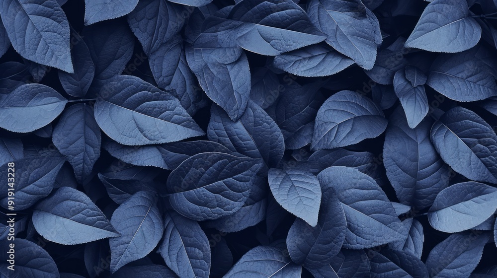 Perfect natural fresh grass pattern background. Dark blue moody backdrop for your design. Neural network ai generated art Perfect natural fresh grass pattern background. Dark blue moody backdrop for your design. Neural network ai generated art