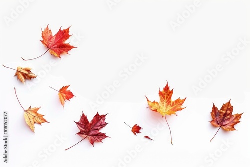 A group of vibrant red and yellow leaves on a white surface, great for autumn or nature-inspired designs