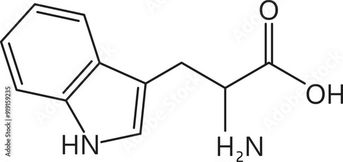 Tryptophan amino acid chemical molecule, essential chain structure. Nutritional supplement molecule compound, muscle protein chemical chain or essential amino acid science vector formula